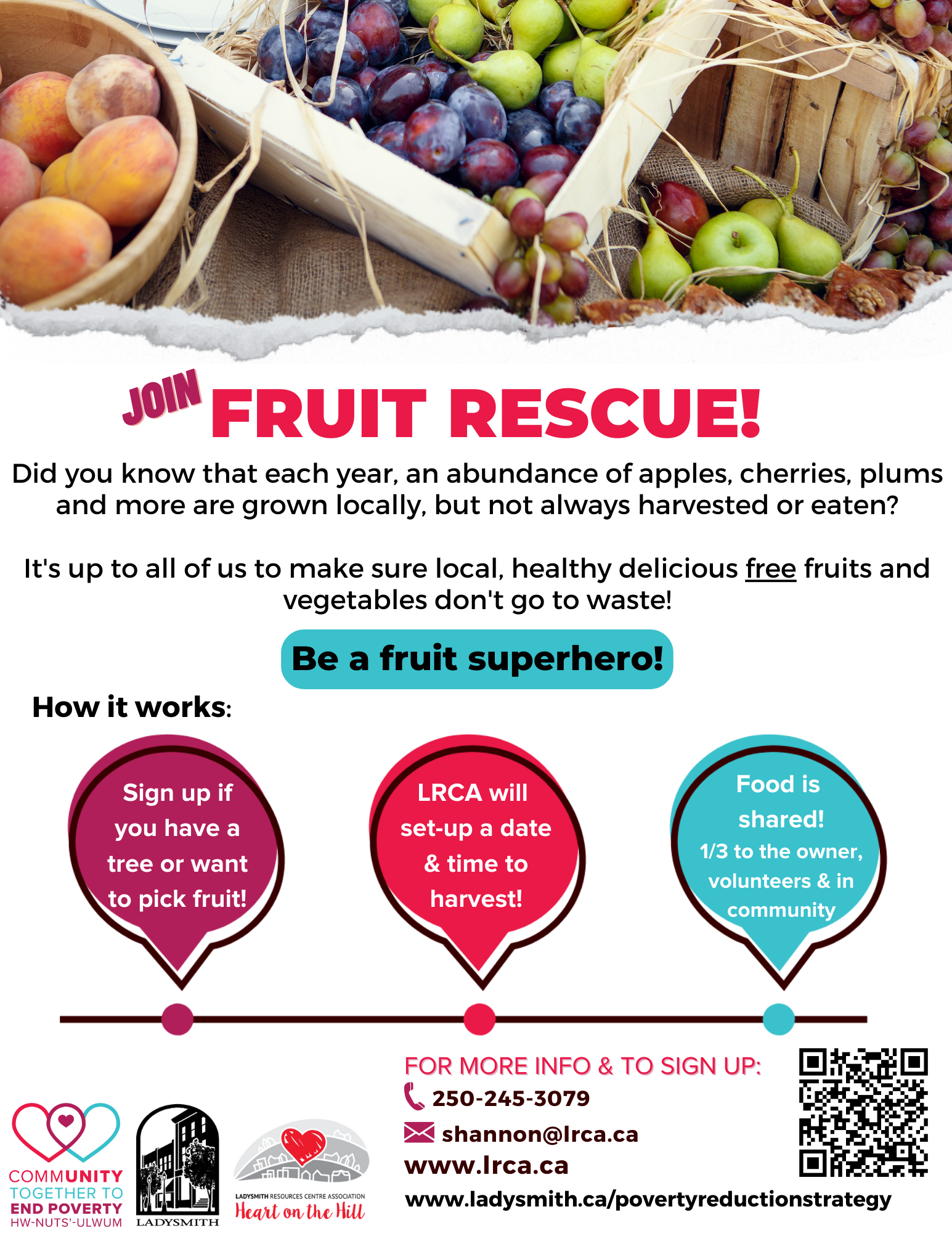 Fruit Rescue poster final