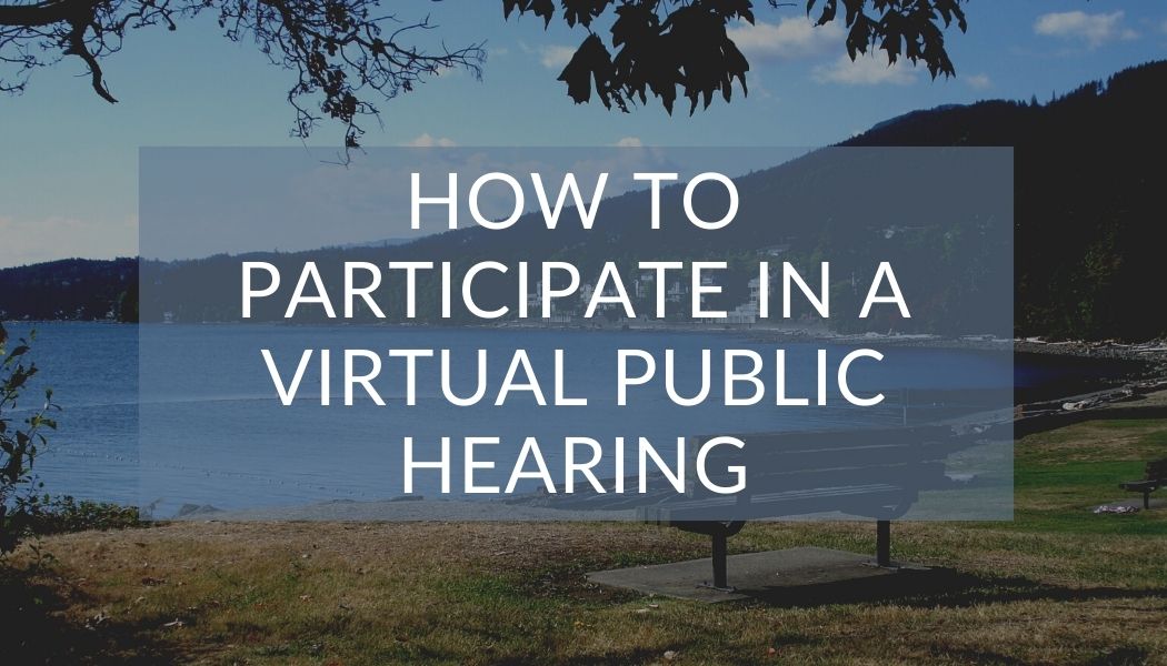 Virtual Public Hearing_graphic
