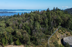 A photo of Arbutus Hump