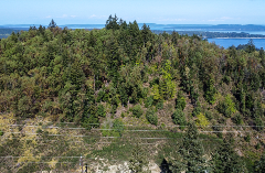 A photo of Arbutus Hump