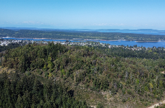 A photo of Arbutus Hump