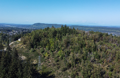 A photo of Arbutus Hump