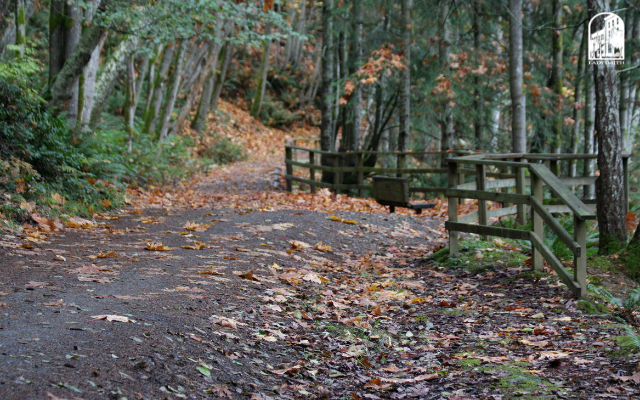 Image Web Graphic (640x400)