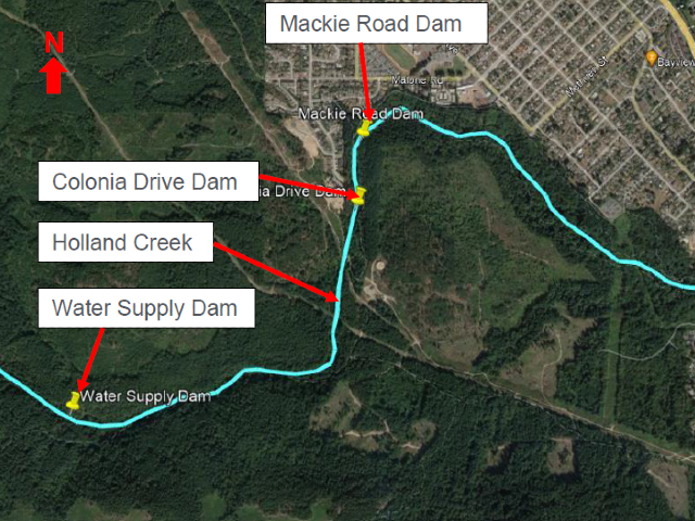 Mackie Dam 2