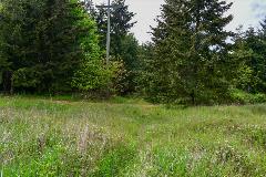 Methuen-Street-Garry-Oak-Glade-project-may-8-2026-1200x800-01