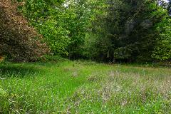 Methuen-Street-Garry-Oak-Glade-project-may-8-2026-1200x800-03