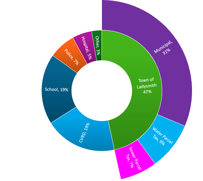pie chart 2025
