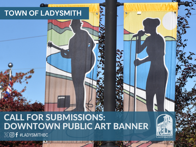 Public Art Banners 2024