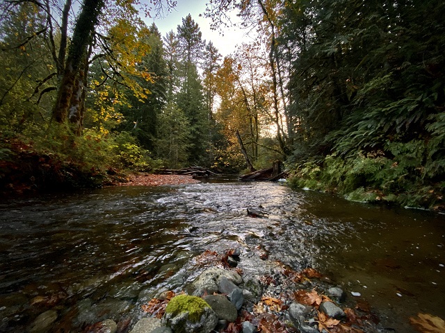 2020.10.14 Holland Creek trail_web