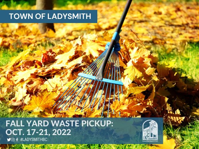 Fall 2022 Yard Waste