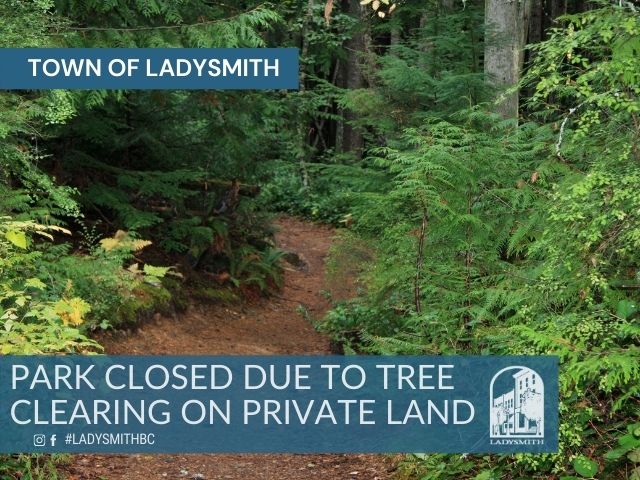 Tree Clearing