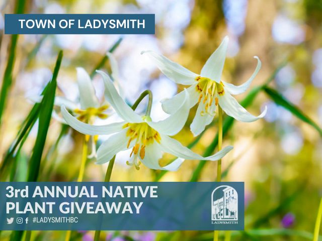 Native Plant Giveaway_thumbnail