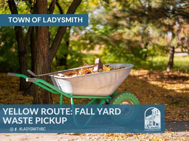 Yard waste project - Fall 2021 (1)