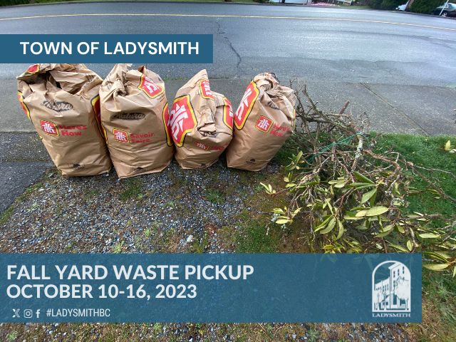 Yard waste project - Fall 2023