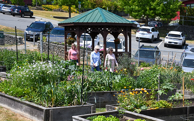Ladysmith Community Gardens